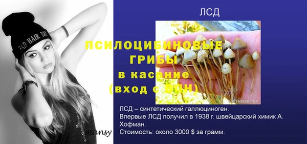 винт Арсеньев