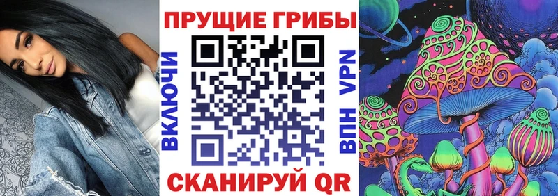 blacksprut как войти  Минусинск  Псилоцибиновые грибы GOLDEN TEACHER 
