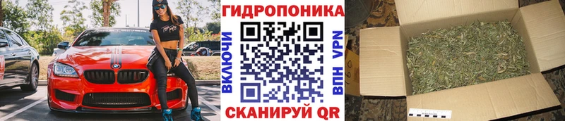 где продают наркотики Минусинск МАРИХУАНА план